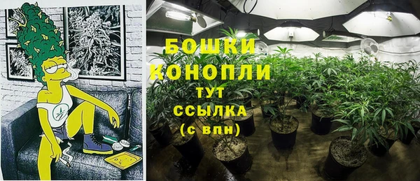 бошки Верея